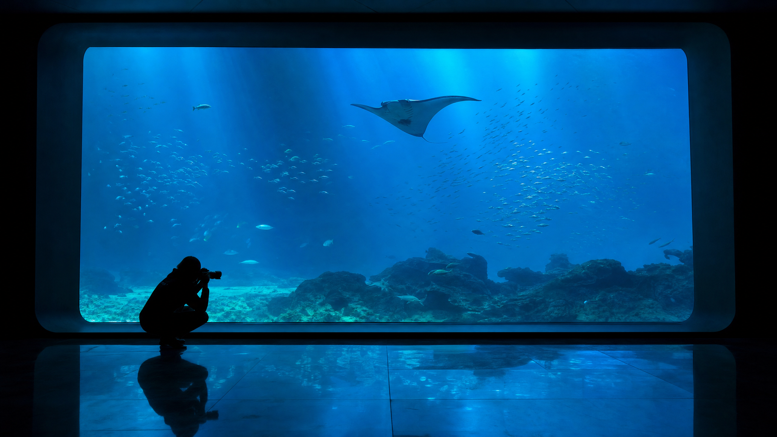 混雑時でも撮りやすい水族館写真の考え方